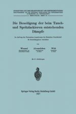 Beseitigung Der Beim Tauch- Und Spritzlackieren Entstehenden Dampfe