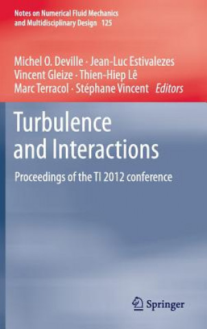 Turbulence and Interactions