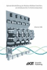 Optimale Betriebsfuhrung des Modularen Multilevel-Umrichters als Antriebsumrichter fur Drehstrommaschinen