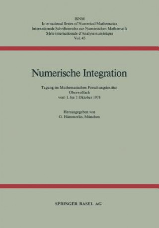 Numerische Integration