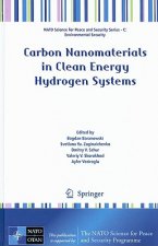 Carbon Nanomaterials in Clean Energy Hydrogen Systems
