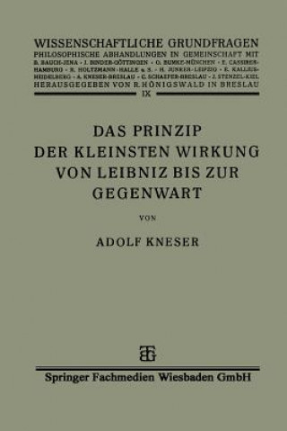 Prinzip Der Kleinsten Wirkung Von Leibniz Bis Zur Gegenwart