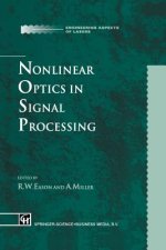 Nonlinear Optics in Signal Processing, 1