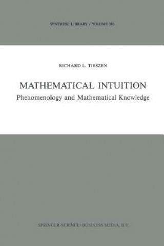 Mathematical Intuition