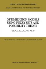Optimization Models Using Fuzzy Sets and Possibility Theory