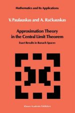 Approximation Theory in the Central Limit Theorem