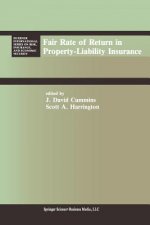 Fair Rate of Return in Property-Liability Insurance