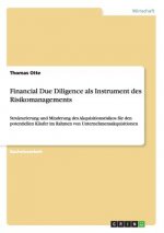 Financial Due Diligence ALS Instrument Des Risikomanagements