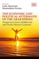 Economic and Political Aftermath of the Arab - Perspectives from Middle East and North African Countries