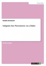 Subgrain Size Piezometric on a Halite
