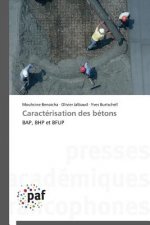 Caracterisation Des Betons