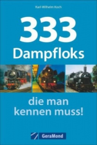 333 Dampfloks, die man kennen muss!