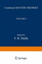 Condensed Matter Theories