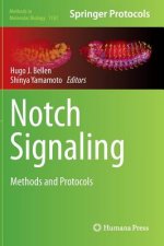 Notch Signaling, 1