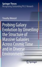 Probing Galaxy Evolution by Unveiling the Structure of Massive Galaxies Across Cosmic Time and in Diverse Environments, 1