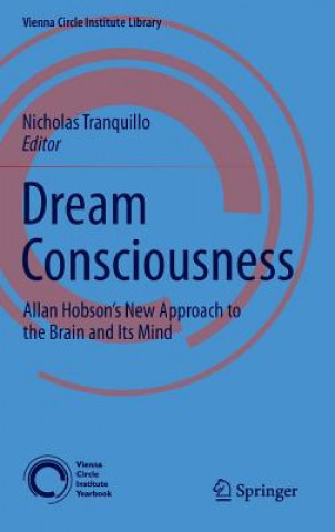 Dream Consciousness