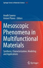 Mesoscopic Phenomena in Multifunctional Materials