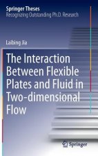Interaction Between Flexible Plates and Fluid in Two-dimensional Flow