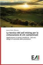 Tecnica del Soil Mixing Per La Cinturazione Di Siti Contaminati