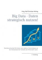 Big Data - Daten strategisch nutzen!