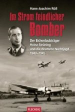 Im Strom feindlicher Bomber