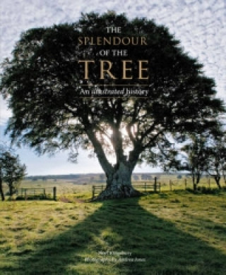 Splendour of the Tree