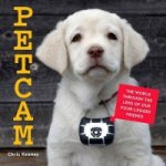 Petcam