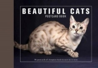 Beautiful Cats Postcard Book