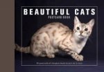 Beautiful Cats Postcard Book