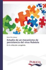 Estudio de un mecanismo de persistencia del virus Rubeola