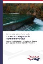 escalas de peces de hendidura vertical
