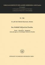 Das Weltbild Teilhard de Chardins