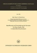 Beeinflussung Und Verminderung Der Korrosion Von Eisen, Kupfer, Zink in Industriellen Brauchwassern