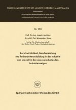 Berufswirklichkeit, Berufserziehung Und Facharbeiterausbildung in Der Industrie Und Speziell in Den Eisenverarbeitenden Industriezweigen