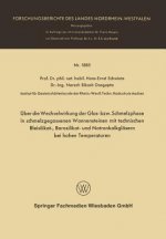 UEber Die Wechselwirkung Der Glas- Bzw. Schmelzphase in Schmelzgegossenen Wannensteinen Mit Technischen Bleisilikat-, Borosilikat- Und Natronkalkglase