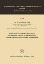 Untersuchung Des Einflusses Physikalischer Und Chemischer Faktoren Auf Die Verbrennung Fl ssiger Brennstoffe Unter Erh htem Sauerstoffdruck