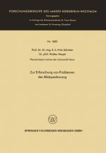 Zur Erforschung Von Problemen Der Bildspeicherung