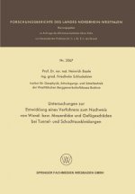 Untersuchungen Zur Entwicklung Eines Verfahrens Zum Nachweis Von Wand- Bzw. Mauerdicke Und Gefugeschaden Bei Tunnel- Und Schachtauskleidungen
