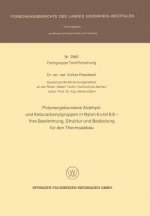 Polymergebundene Aldehyd- Und Ketocarbonylgruppen in Nylon 6 Und 6, 6 -- Ihre Bestimmung, Struktur Und Bedeutung Fur Den Thermoabbau
