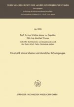 Kinematik Kleiner Ebener Und Raumlicher Schwingungen