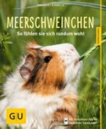 Meerschweinchen