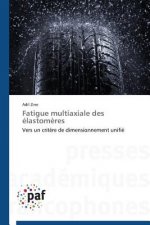 Fatigue Multiaxiale Des Elastomeres