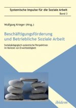 Beschaftigungsfoerderung und betriebliche Soziale Arbeit. Sozialpadagogisch-systemische Perspektiven im Kontext von Erwerbstatigkeit