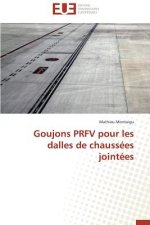 Goujons Prfv Pour Les Dalles de Chauss es Joint es