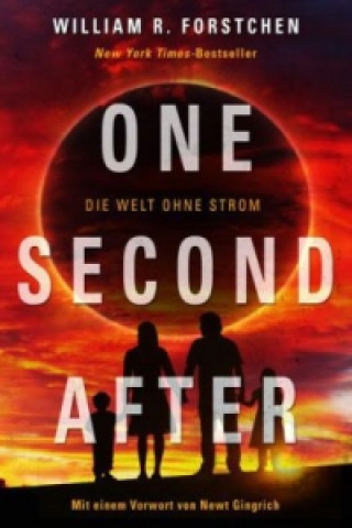One Second After - Die Welt ohne Strom