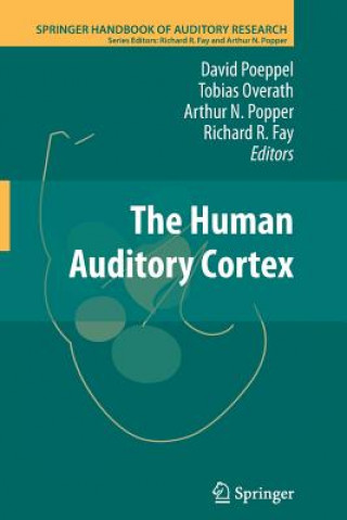 Human Auditory Cortex