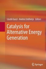 Catalysis for Alternative Energy Generation