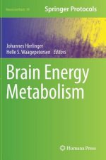 Brain Energy Metabolism, 1