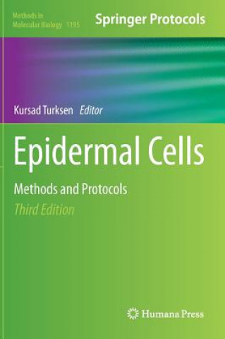 Epidermal Cells, 1