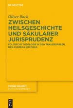 Zwischen Heilsgeschichte und sakularer Jurisprudenz